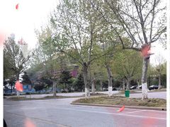 -泉城欧乐堡海洋极地世界