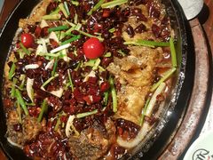 -老板恋上鱼(高新万达店)