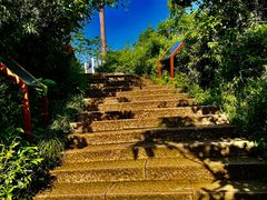 -杭州半山国家森林公园