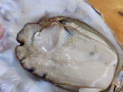 -蚝得喜海鲜(东城店)