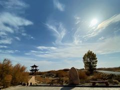 -金塔沙漠胡杨林景区