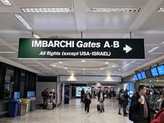 -米兰马尔彭萨国际机场