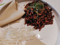 -大鸭梨烤鸭(顺义石园店)