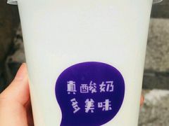 -一只酸奶牛(八一路店)