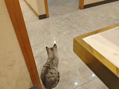 -伊帆食府·青海地方特色美食