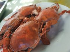 -三亚新鸿港水果一级批发市场