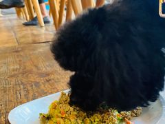 -the rug 飞毯 (朝阳公园店)