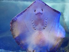 -合肥海洋世界