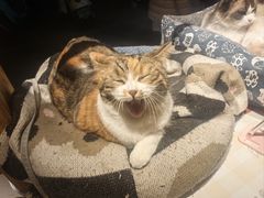 -韵味湘肴·小炒黄牛肉(五一广场美食地标店)