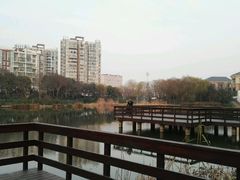 -新江湾城公园