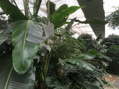-汤山翠谷生态餐厅