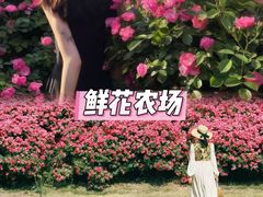 -栖露营camping·天幕烧烤·团建拓展·采摘营地