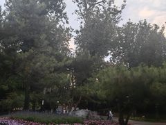 -宣武艺园