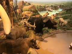 -陕西自然博物馆