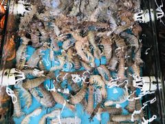 皮皮虾-景好海鲜餐厅(大鹏必选旅游店)