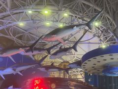 -烟台海昌鲸鲨海洋公园