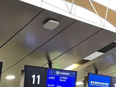 -上海浦东国际机场-T2航站楼