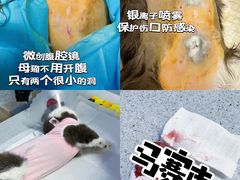 -达爱动物医院·犬猫分区·CT·复杂眼科(远洋山水分院)