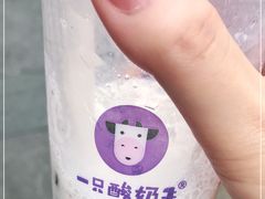 -一只酸奶牛(八一路店)