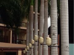 -三亚亚龙湾红树林度假酒店