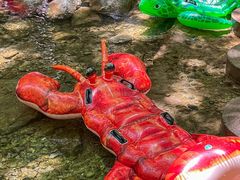 -洛阳花果山景区