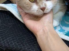 -瑞派雷欧宠物医院·24h夜诊·心脏骨科牙科·全科重症转诊中心(无影山店)