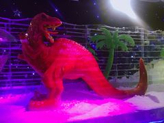-世界之窗阿尔卑斯冰雪世界