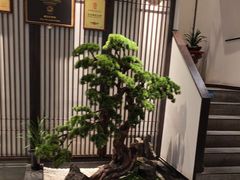 -溪畔•新徽菜(碧湖云溪店)