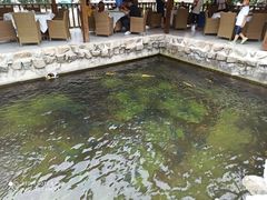 -京北渔家傲