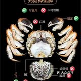 🐚🥢螃蟹大揭秘：手把手教你轻松拆螃蟹