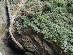 -龙水峡地缝景区
