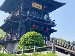 -大唐贡茶院