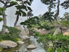 -罗红摄影艺术馆