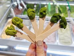 -鹤茶野所(上海首店)