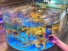 -蟹之国·精品蟹料理(极地店)