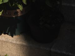 -青咖啡(三坊七巷店)