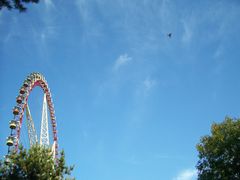 -哈尔滨文化公园