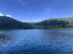 -武陵山森林公园