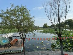 -焦岗湖旅游度假区