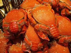 -安蒂娅·海鲜自助餐厅(安蒂娅美兰酒店)