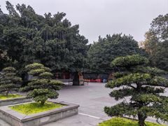 -棠湖公园