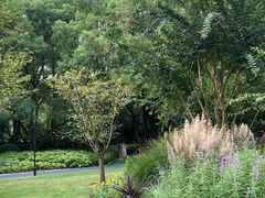 -徐家汇源景区-衡山公园