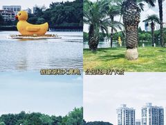 -上海长风大悦城