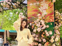 -中粮·祥云小镇