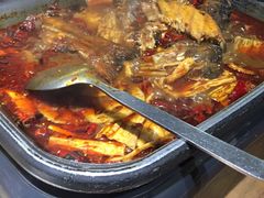 -龙门烤鱼(东方宝泰店)