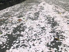 -杭州西湖艺联君亭酒店(黄龙体育中心地铁口店)