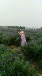 点击看大图 -完美新娘婚纱摄影