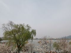 -岷山饭店-芝芝自助餐厅