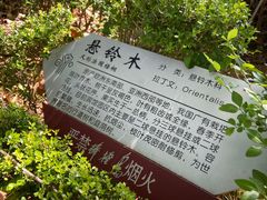 -棒棰岛宾馆景区