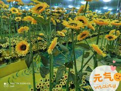 -天津梵高星空艺术馆(天河城旗舰店)